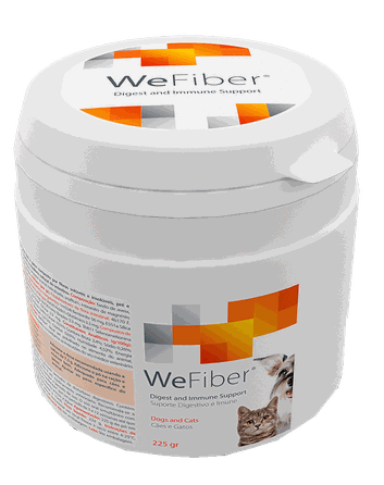 WEPHARM WeFiber pulveris, 225 g