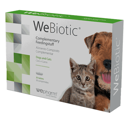 WEPHARM WeBiotic Fast tabletes, 30 gab.