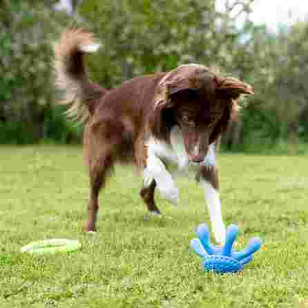 KIWI WALKER TPG Astoņkājis, Maxi- Oranža rotaļlieta, 1 gab.