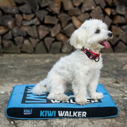KIWI WALKER Memory Putu Matracis - Zils/Melns, M Izmērs guļvieta, 1 gab.