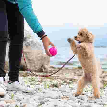 KIWI WALKER TPG Bumba, Maxi- Zaļa rotaļlieta, 1 gab.