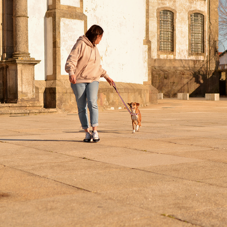 DASHI Stripes3 Purple&Black L pavada, 1 gab.