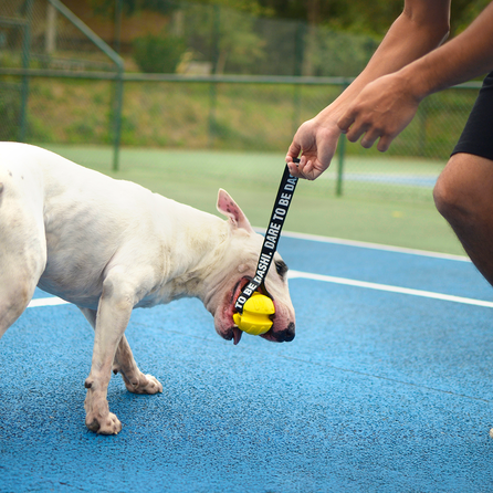 DASHI Suņiem Yellow Tpr Ball rotaļlieta, 1 gab.