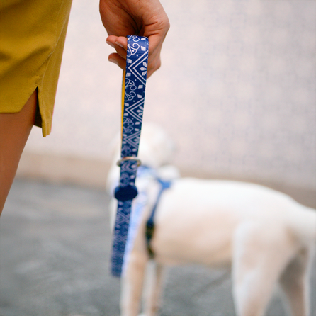 DASHI Zillij XS pavada, 1 gab.