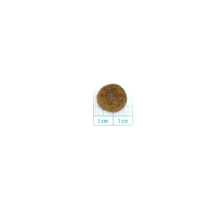 FORZA10 Maintenance Adult All Size Ar Cūku, Suņiem sausā barība, 2 kg