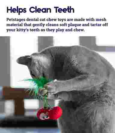 PETSTAGES Dental Cherries, Sarkana rotaļlieta, 1 gab.