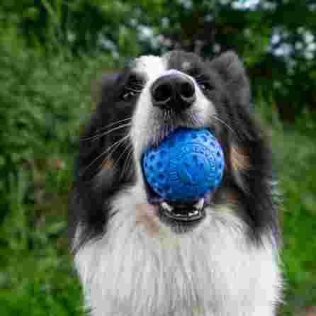 KIWI WALKER TPG Bumba,maxi- Zila rotaļlieta, 1 gab.