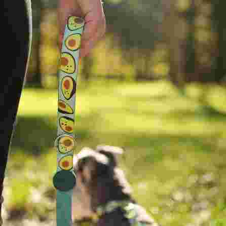 DASHI Avocado S pavada, 1 gab.