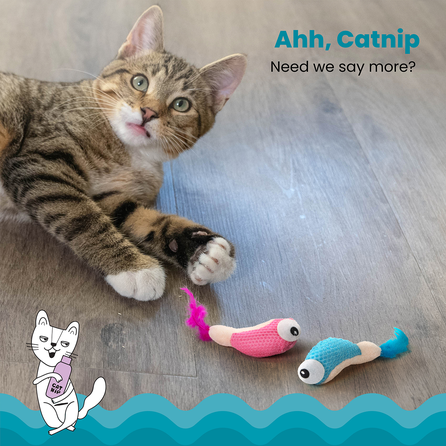CATSTAGES Catnip Chew Mice rotaļlieta, 1 gab.