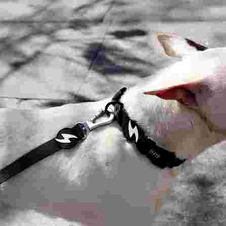 DASHI Colorflex Black XS kakla siksna, 1 gab.