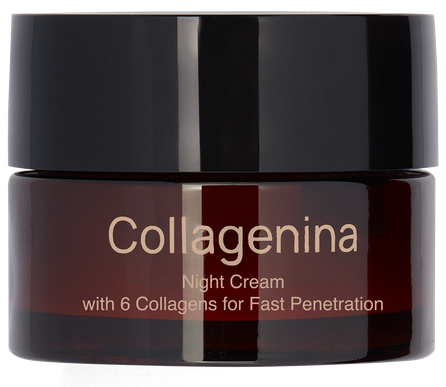 COLLAGENINA With 6 Collagens, Grade 2, Night sejas krēms, 50 ml