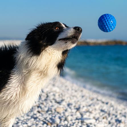 KIWI WALKER TPG Bumba,maxi- Zila rotaļlieta, 1 gab.