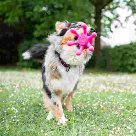 KIWI WALKER TPG Astoņkājis, Mini- Rozā rotaļlieta, 1 gab.