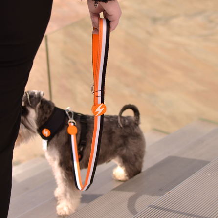 DASHI Stripes3 Orange&Black M pavada, 1 gab.