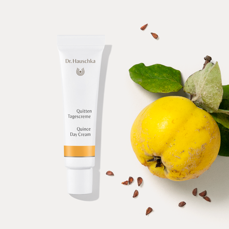 Quince Day sejas krēms, 30 ml