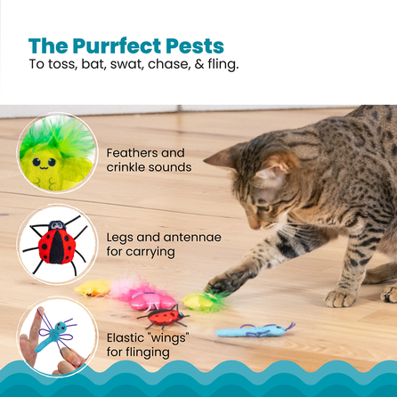 CATSTAGES Cute a Bug 6gb, Daudzkrāsainas rotaļlieta,
