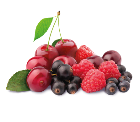 ALPENBAUER BIO Waldbeere konfektes, 90 g