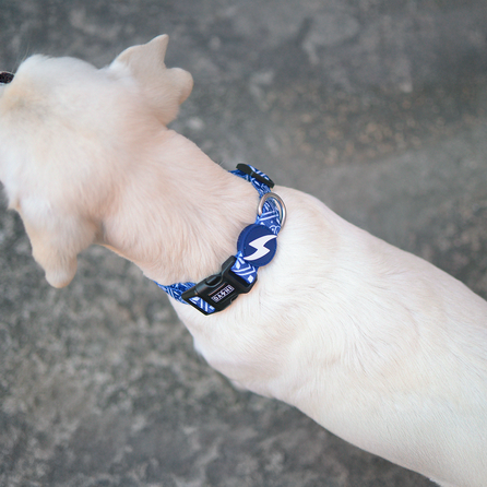 DASHI Zillij S kakla siksna, 1 gab.