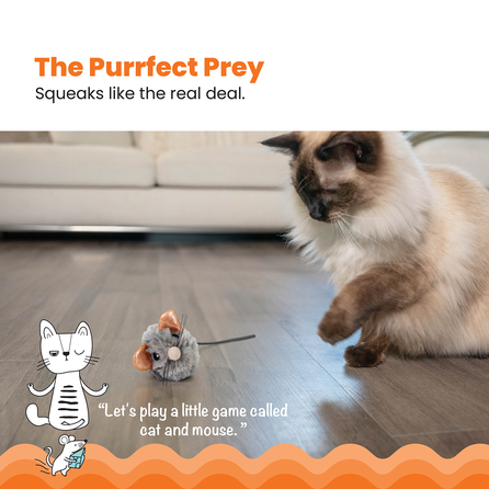 CATSTAGES Squeak Squeak Mouse, Pelēka rotaļlieta, 1 gab.