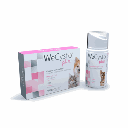 WEPHARM WeCysto Plus gels, 50 ml